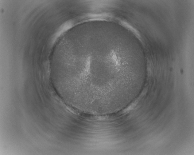 X0000077351411200611171846