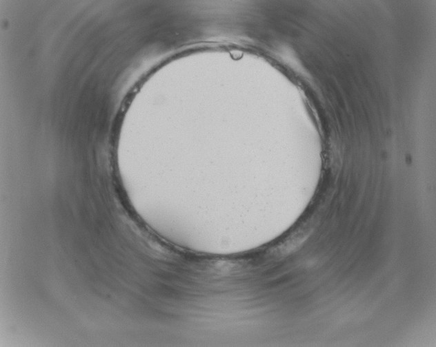 X0000077351412200611171846