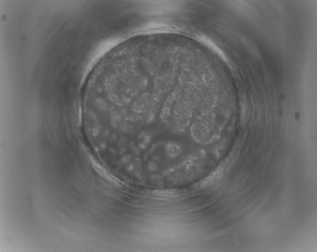 X0000077351413200611171847