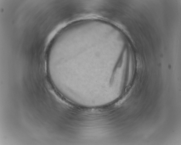 X0000077351414200611171847