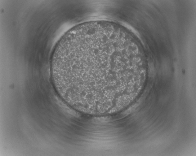 X0000077351415200611171847