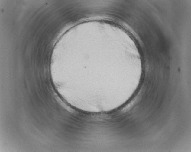 X0000077351417200611171847