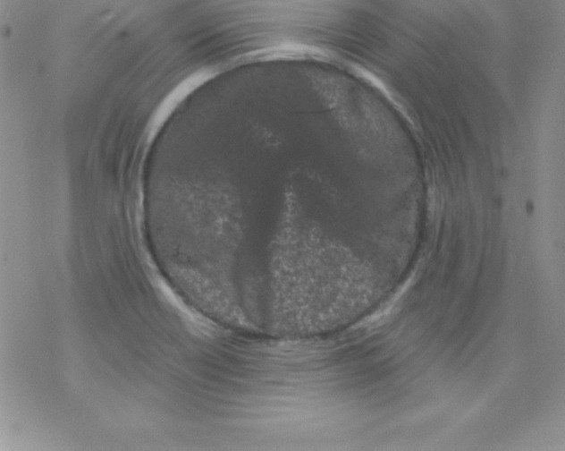 X0000077351418200611171847