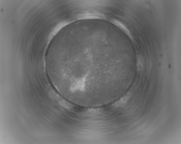 X0000077351419200611171847