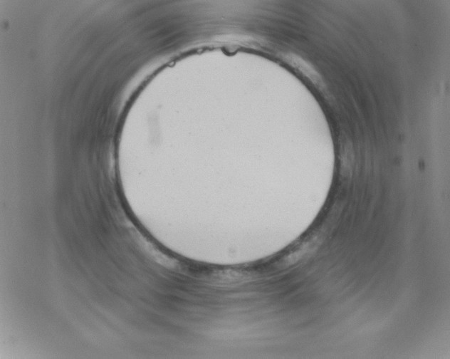 X0000077351420200611171847