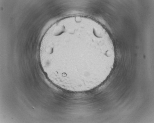 X0000077351421200611171847