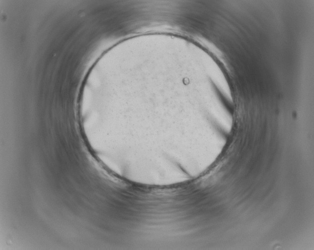 X0000077351423200611171847