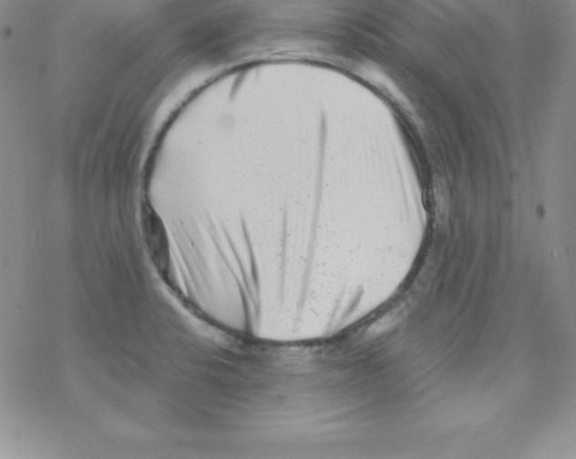 X0000077351424200611171847