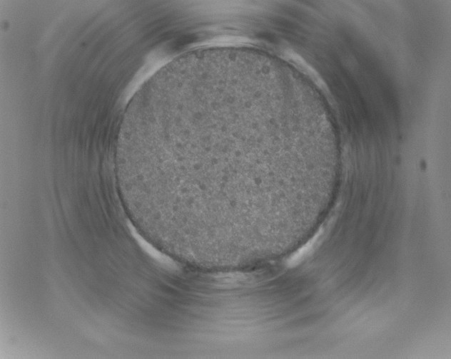 X0000077351425200611171847