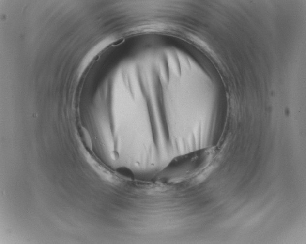 X0000077351426200611171847