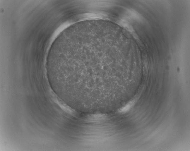 X0000077351427200611171847