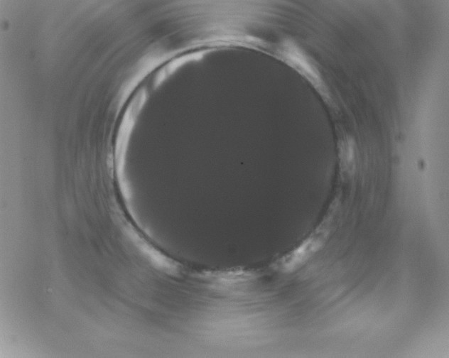 X0000077351428200611171847