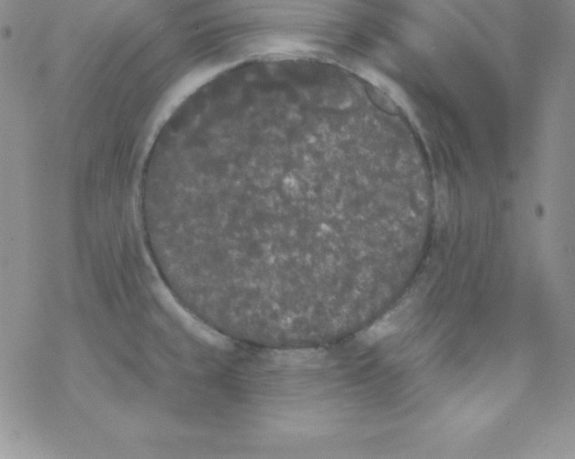 X0000077351429200611171847