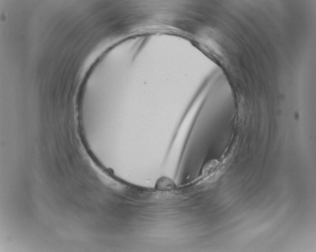 X0000077351430200611171847