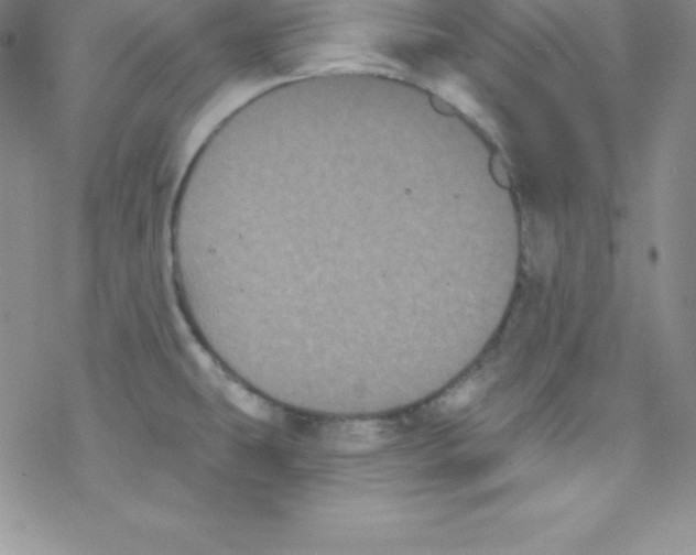 X0000077351431200611171847