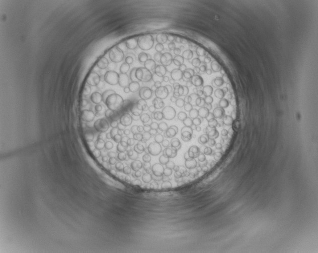 X0000077351432200611171847