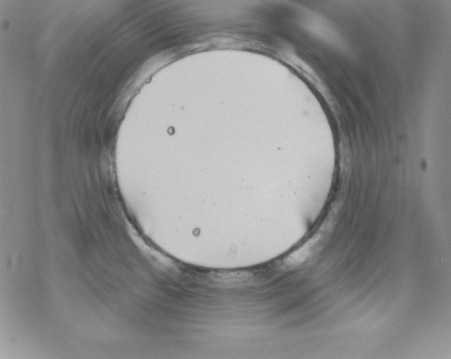 X0000077351433200611171847