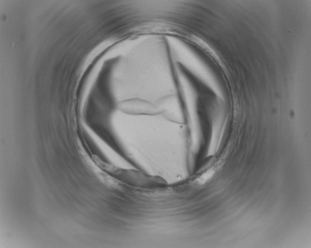 X0000077351434200611171847