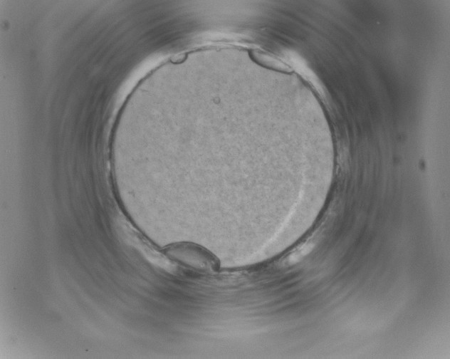 X0000077351435200611171847