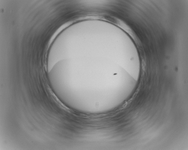 X0000077351436200611171847