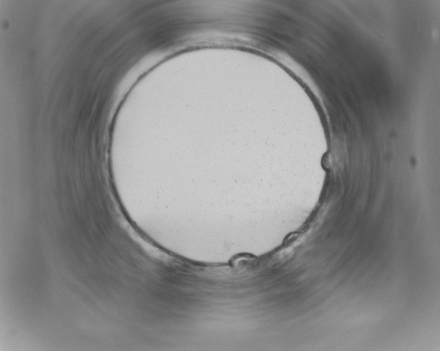 X0000077351437200611171847