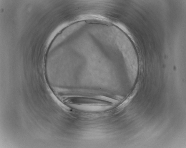 X0000077351438200611171847