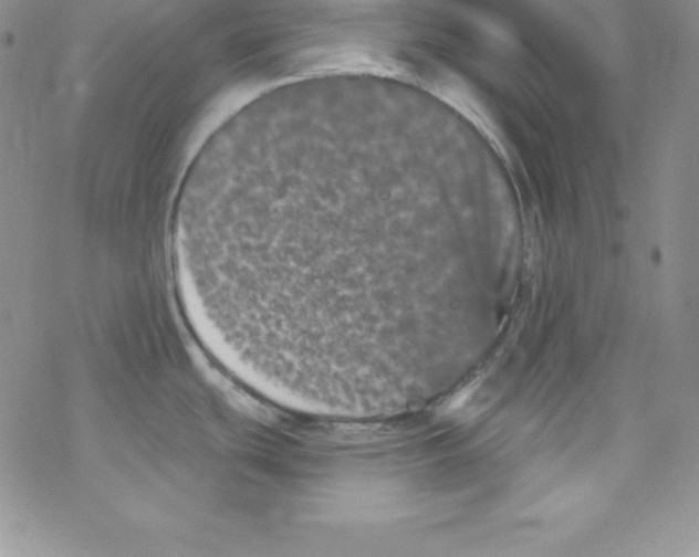 X0000077351439200611171847