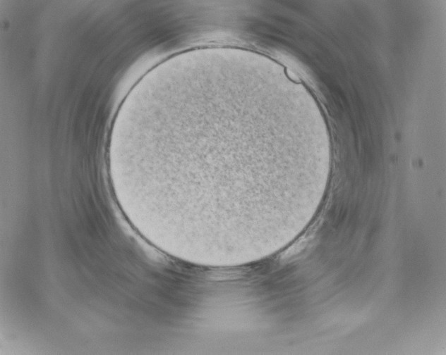 X0000077351440200611171847