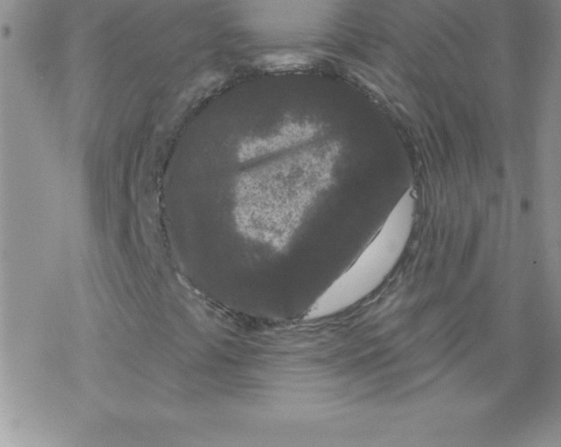 X0000077351441200611171846