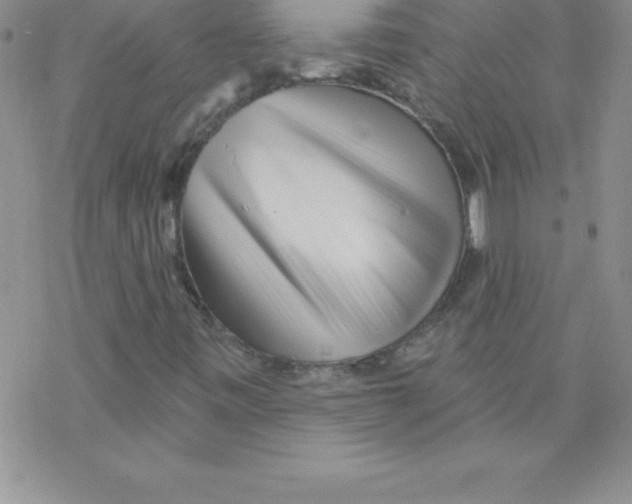 X0000077351443200611171846