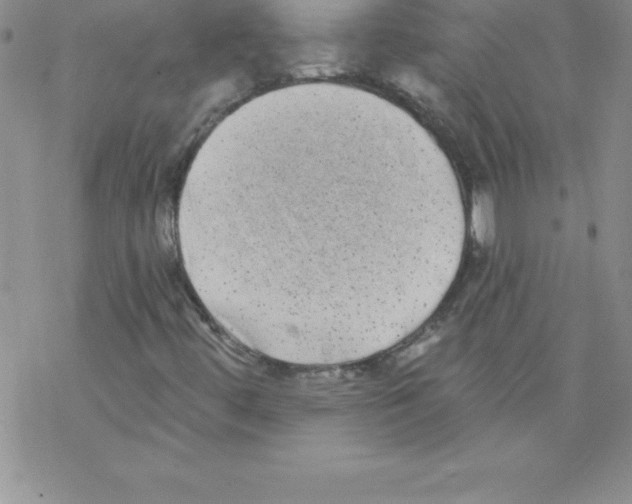 X0000077351444200611171846