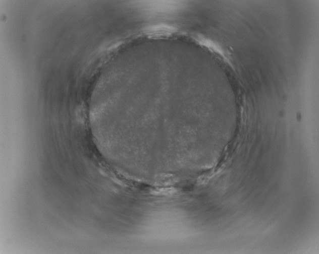 X0000077351445200611171846