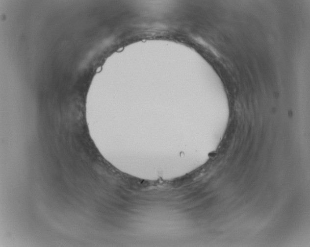 X0000077351447200611171846