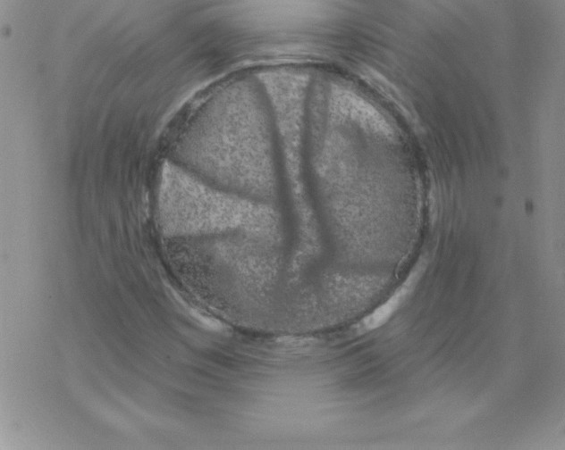 X0000077351449200611171846