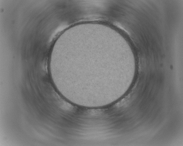 X0000077351451200611171846