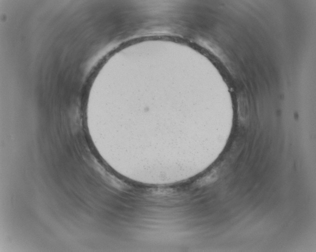 X0000077351452200611171846