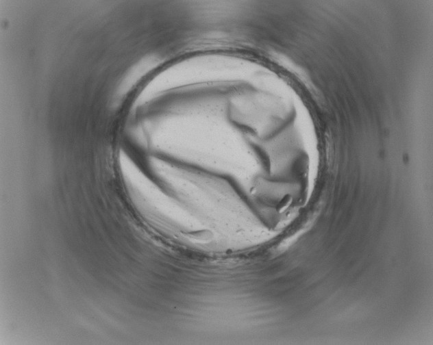 X0000077351453200611171846