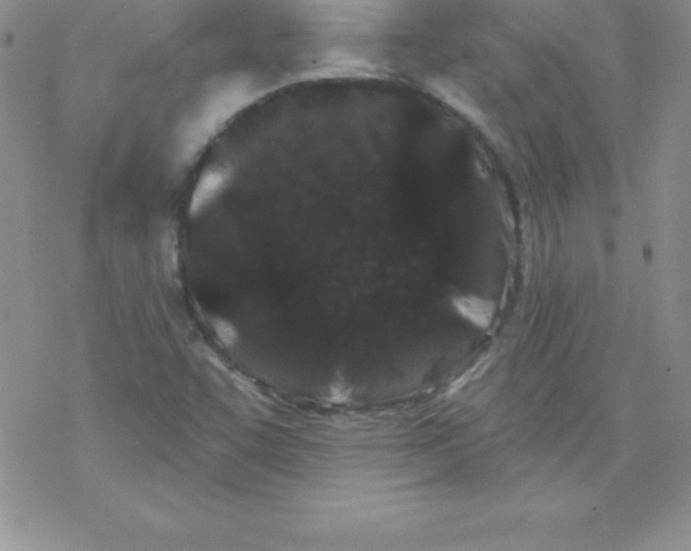 X0000077351455200611171846