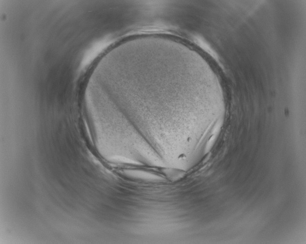 X0000077351456200611171846