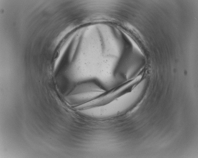 X0000077351457200611171846