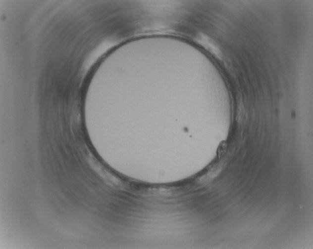 X0000077351458200611171846