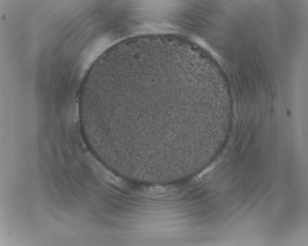 X0000077351459200611171846