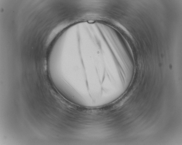 X0000077351461200611171846