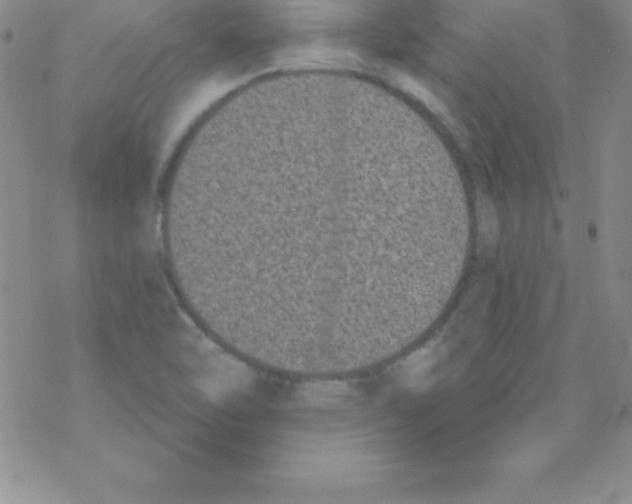 X0000077351462200611171846