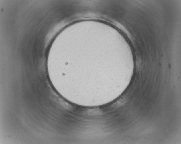 X0000077351464200611171846