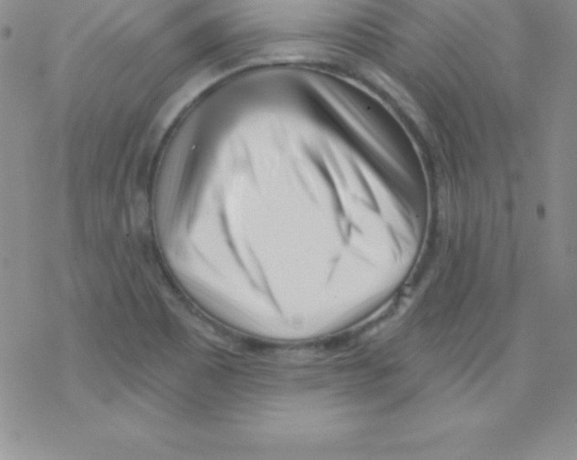 X0000077351465200611171846