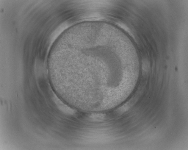 X0000077351466200611171846