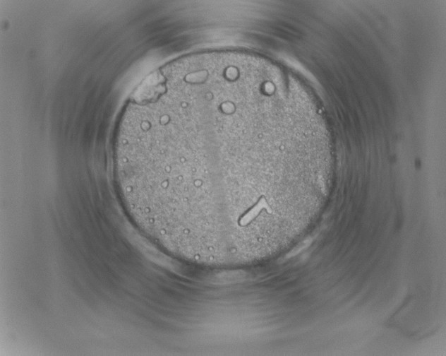 X0000077351467200611171846