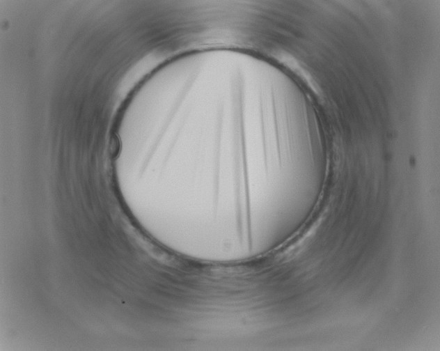 X0000077351469200611171846