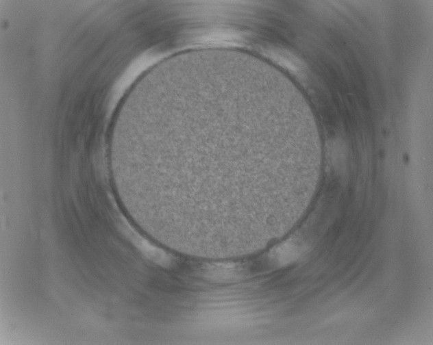 X0000077351470200611171846